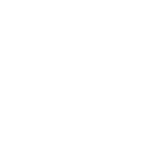 transparent sydney gutter clear's logo for footer