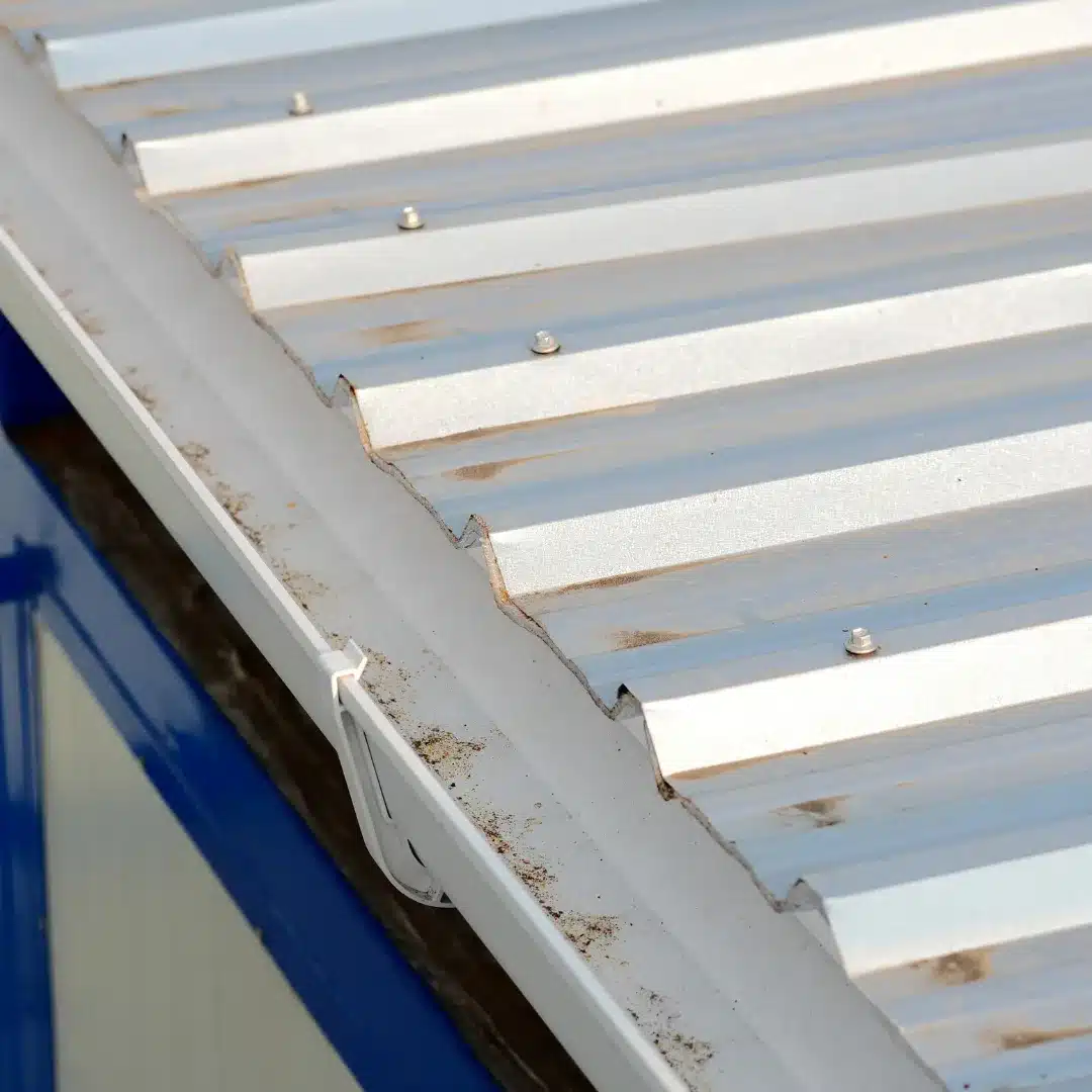 Silt and dirt buildup inside a white metal roof gutter along a corrugated iron roofline in Sydney.